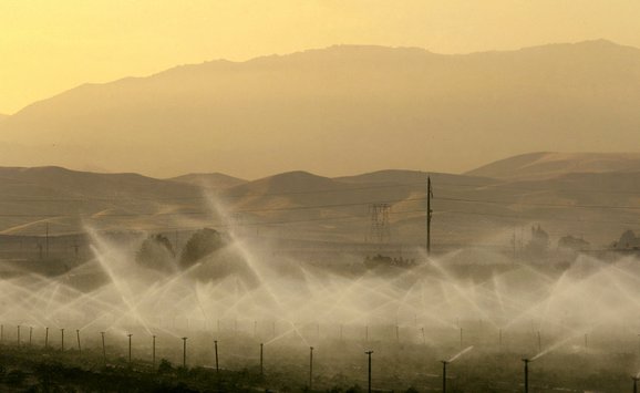 GettyImages-72374990.jpg