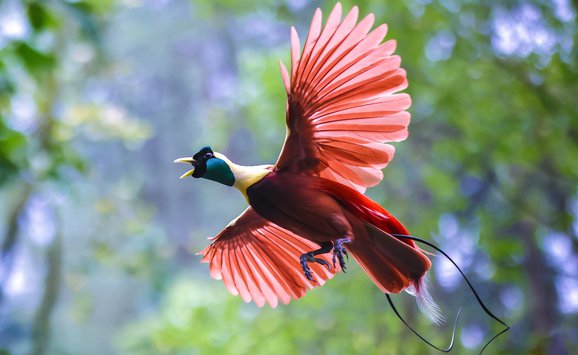 shutterstock_2164545541(1).jpg