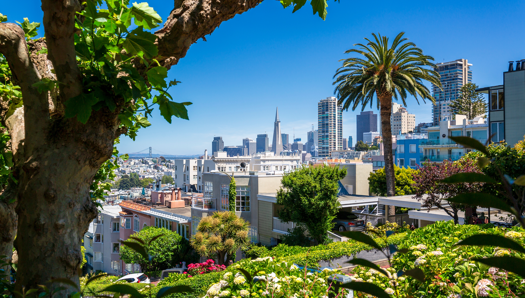 shutterstock_2453488771 (16x9)